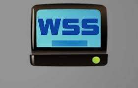 World Sports Stream (WSS) 